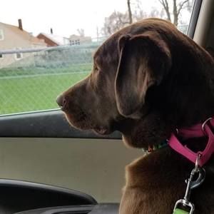 Meet your Posher, Laura